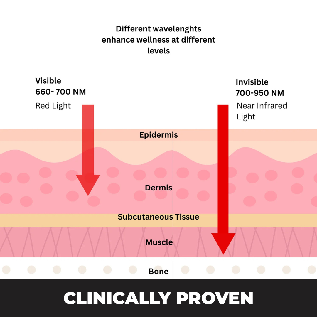 WAIST BUDDY PRO™ - NEW YEAR, NEW YOU SALE